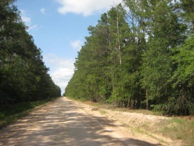 Timberland property for sale in Trinity County