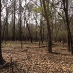 Recreational land for sale in Winn Parish