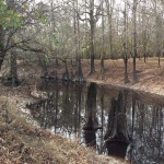 Winn Parish Recreational land for sale