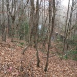 Recreational property for sale in Winn Parish