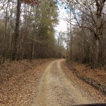 Winn Parish Timberland for sale