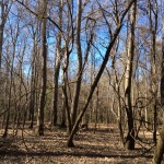 Recreational land for sale in Winn Parish