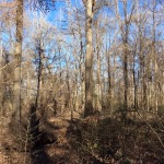 Winn Parish Recreational land for sale