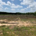 Investment land for sale in Jackson Parish