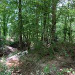 Development land for sale in Jackson Parish