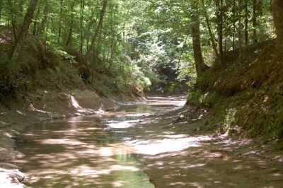 West Feliciana Parish Investment land for sale