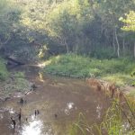 Winn Parish Recreational land for sale