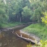 Timberland property for sale in Winn Parish