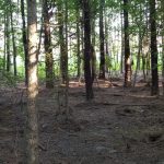 Recreational land for sale in Winn Parish