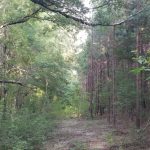 Winn Parish Recreational property for sale