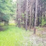 Recreational property for sale in Winn Parish