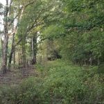 Winn Parish Recreational property for sale