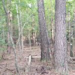 Recreational property for sale in Winn Parish