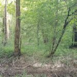 Recreational property for sale in Winn Parish