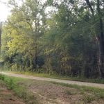 Winn Parish Recreational property for sale
