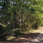 Development property for sale in Jackson Parish