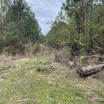 Rapides Parish Recreational property for sale