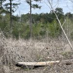 Rapides Parish Recreational property for sale