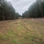 Lincoln Parish Timberland property for sale