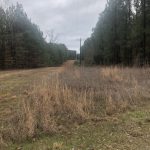 Recreational land for sale in Lincoln Parish