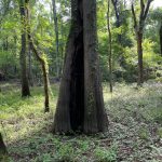 Bossier Parish Recreational property for sale