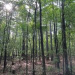 Bossier Parish Recreational land for sale