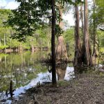 Bossier Parish Recreational land for sale