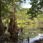 Investment property for sale in Bossier Parish