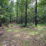 Bossier Parish Recreational land for sale