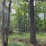 Bossier Parish Investment land for sale