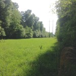 Little River County Recreational property for sale