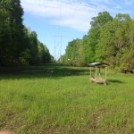 Little River County Timberland property for sale
