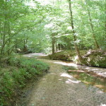 Investment land for sale in West Feliciana Parish