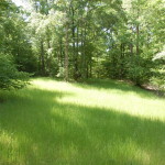 Investment property for sale in West Feliciana Parish