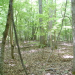 Timberland for sale in West Feliciana Parish