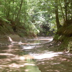 West Feliciana Parish Investment property for sale