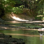 West Feliciana Parish Recreational land for sale