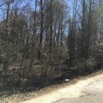 Residential land for sale in La Salle Parish