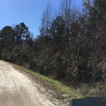 Recreational property for sale in La Salle Parish