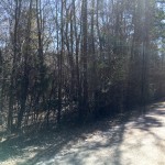 La Salle Parish Residential land for sale