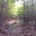 Recreational property for sale in La Salle Parish