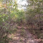 La Salle Parish Recreational property for sale