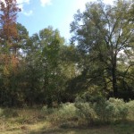 La Salle Parish Recreational property for sale