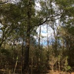 Recreational property for sale in La Salle Parish