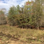 Residential property for sale in La Salle Parish