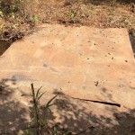 Timberland for sale in La Salle Parish