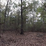 La Salle Parish Residential land for sale