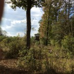 Residential land for sale in La Salle Parish