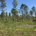 Jackson Parish Residential property for sale