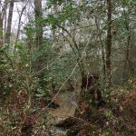 Beauregard Parish Recreational land for sale